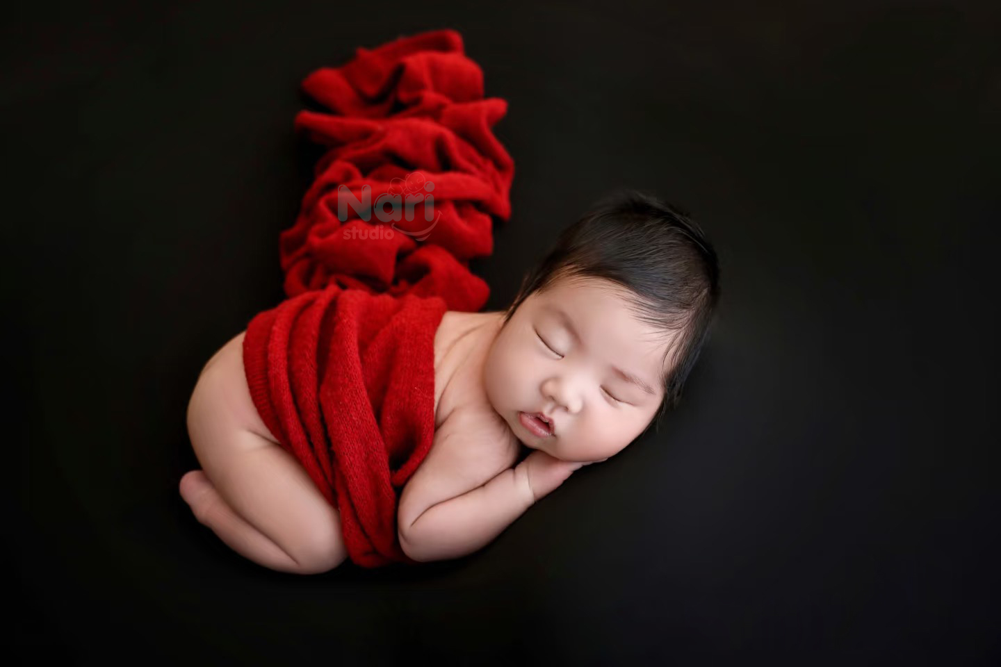 Concept tổ mây